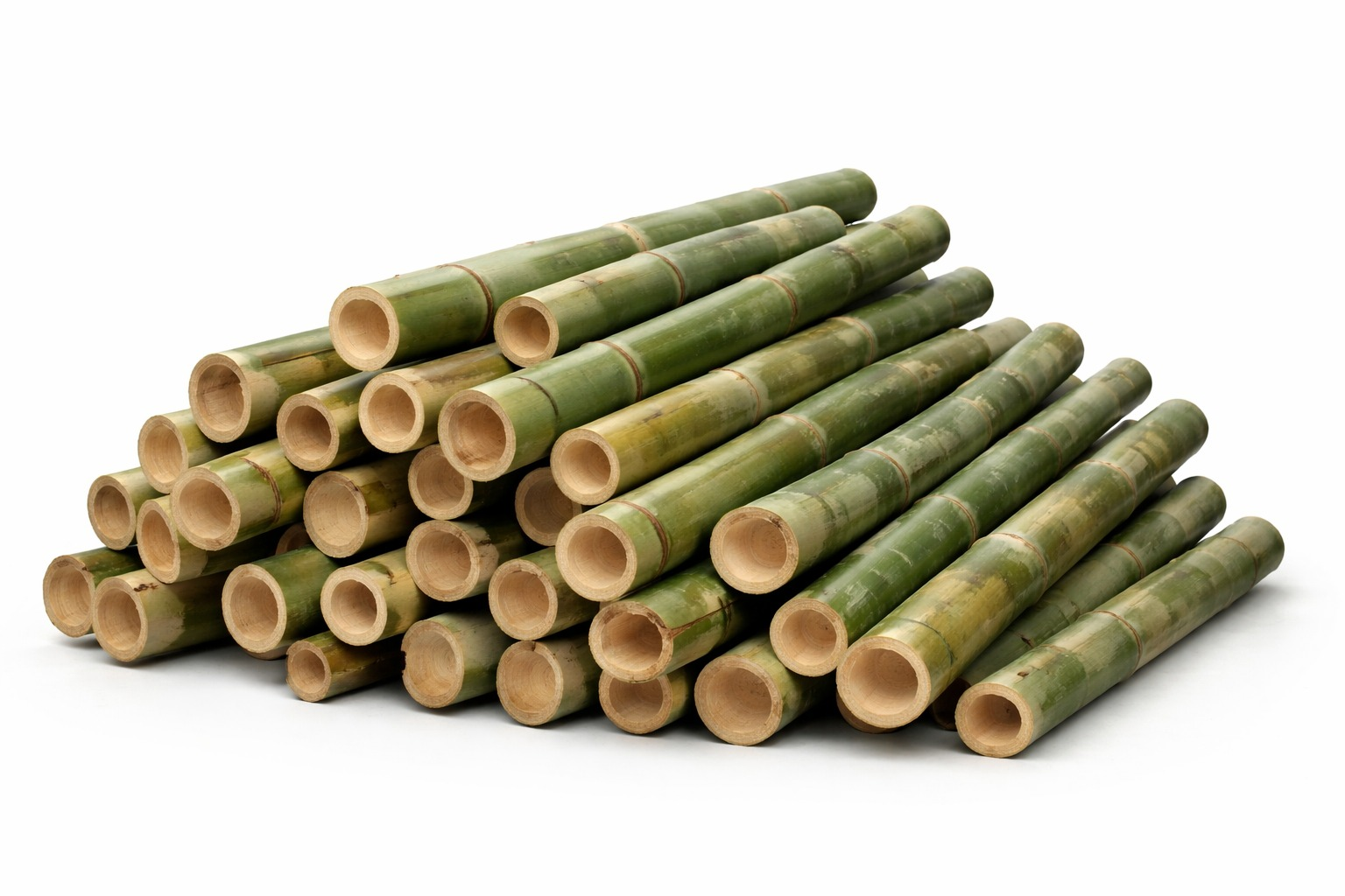 Bamboo
